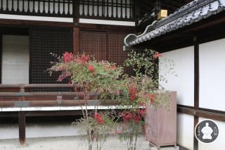 императорский дворец Киото (60)