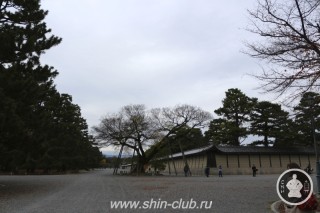 императорский дворец Киото (7)