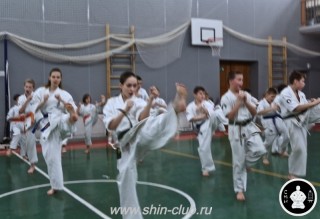 тренировка Киокушинкай 2016 ударов (115)
