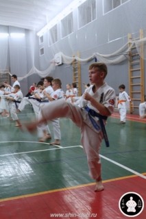 тренировка Киокушинкай 2016 ударов (137)
