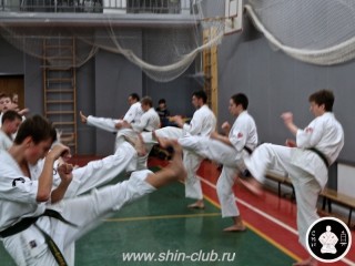 тренировка Киокушинкай 2016 ударов (145)