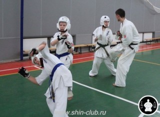 тренировка Киокушинкай 2016 ударов (240)
