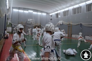 тренировка Киокушинкай 2016 ударов (251)