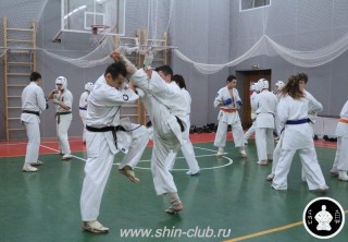тренировка Киокушинкай 2016 ударов (265)