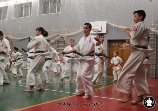 karate-kekusinkay-dlya-shkolnikov-i-vzroslyih-11