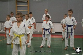 karate-kekusinkay-dlya-shkolnikov-i-vzroslyih-2
