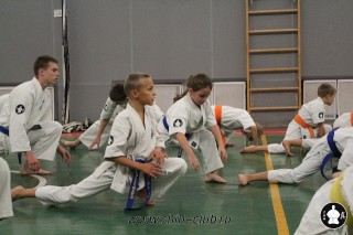 karate-kekusinkay-dlya-shkolnikov-i-vzroslyih-20