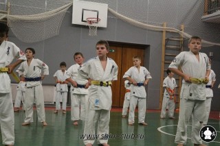 karate-kekusinkay-dlya-shkolnikov-i-vzroslyih-21