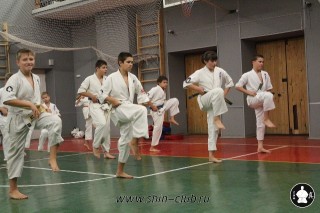 karate-kekusinkay-dlya-shkolnikov-i-vzroslyih-23