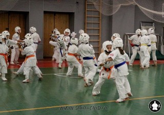 karate-kekusinkay-dlya-shkolnikov-i-vzroslyih-53