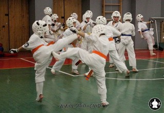 karate-kekusinkay-dlya-shkolnikov-i-vzroslyih-54
