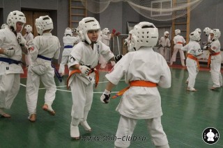 karate-kekusinkay-dlya-shkolnikov-i-vzroslyih-55
