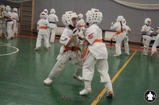 karate-kekusinkay-dlya-shkolnikov-i-vzroslyih-58