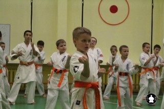 uchebnyie-zanyatiya-po-karate-109