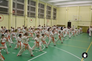 uchebnyie-zanyatiya-po-karate-112