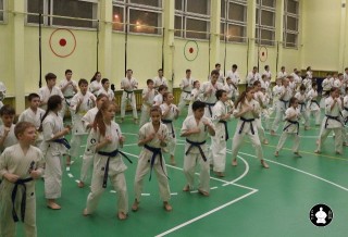 uchebnyie-zanyatiya-po-karate-133