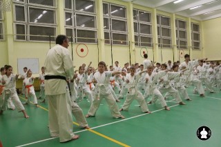 uchebnyie-zanyatiya-po-karate-81