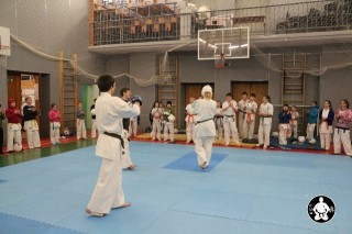 киокушинкай карате для детей (147)