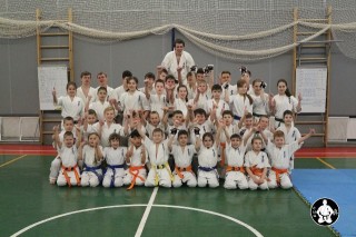киокушинкай карате для детей (154)